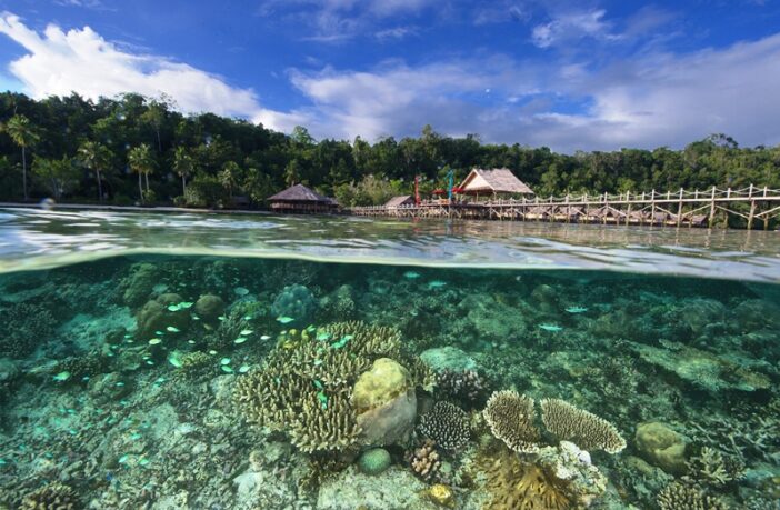 battery mining in an island paradise