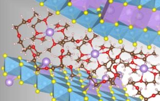 co-intercalation for faster sodium charging