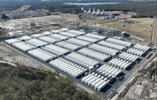waratah super battery cushion