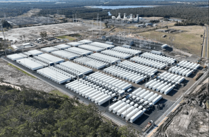 waratah super battery cushion