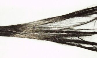 ceramic separators with long carbon