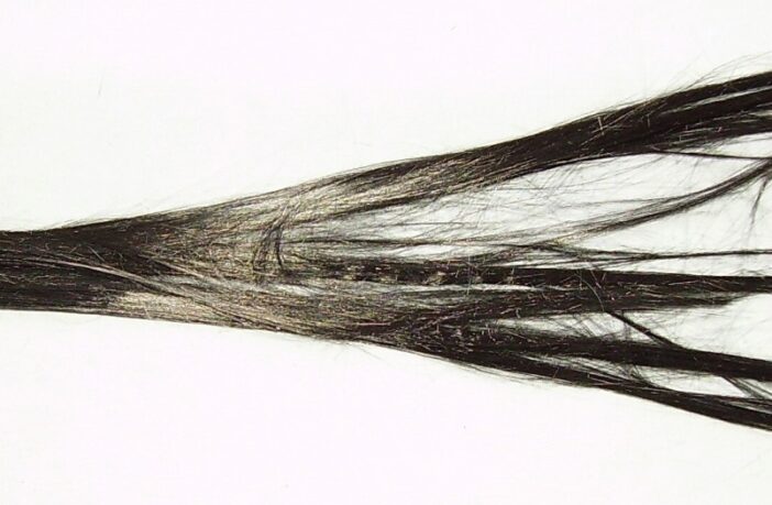 ceramic separators with long carbon