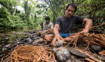 spent batteries from the peruvian mountains