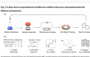 electrolyte additives as battery medicine