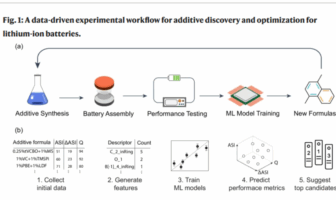 electrolyte additives as battery medicine