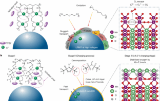 high density polymer electrolyte