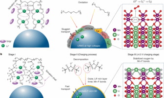 high density polymer electrolyte