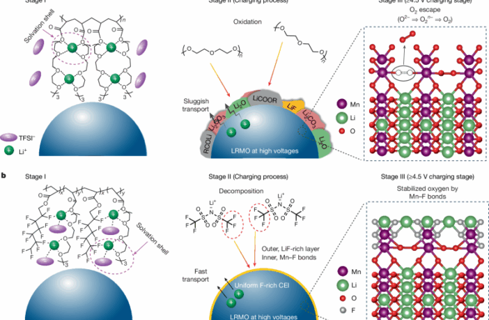 high density polymer electrolyte