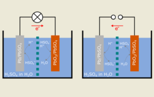 the movement of cations and anions