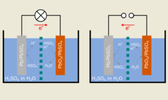 the movement of cations and anions