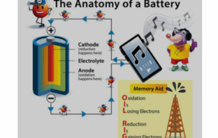 biodegradable battery with natural polymers