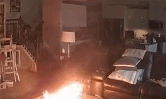 dog bites a lithium-ion battery