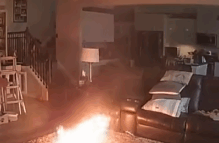 dog bites a lithium-ion battery