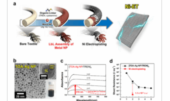 better lithium-metal battery from korea