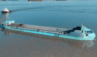 puffer fish blue 01 swaps batteries