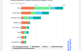 renewable and non-renewable energies