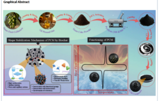 from flowers to thermal energy storage