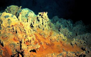 seawater zinc-air battery catalysts