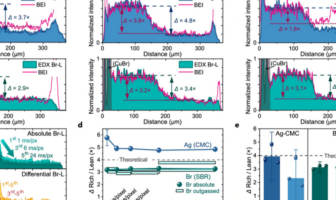 binder distribution makes a difference