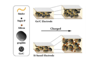 dense forests of carbon nanotubes