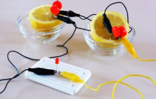 the technology of fruit batteries