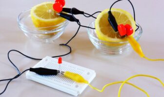 the technology of fruit batteries