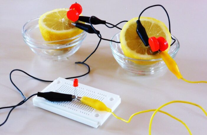 the technology of fruit batteries