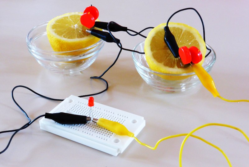 the technology of fruit batteries