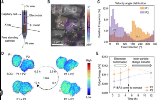 cathode deformation from internal strain