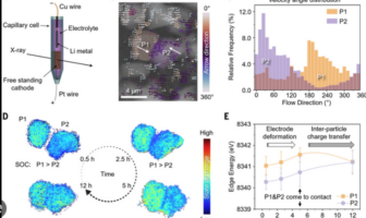 cathode deformation from internal strain