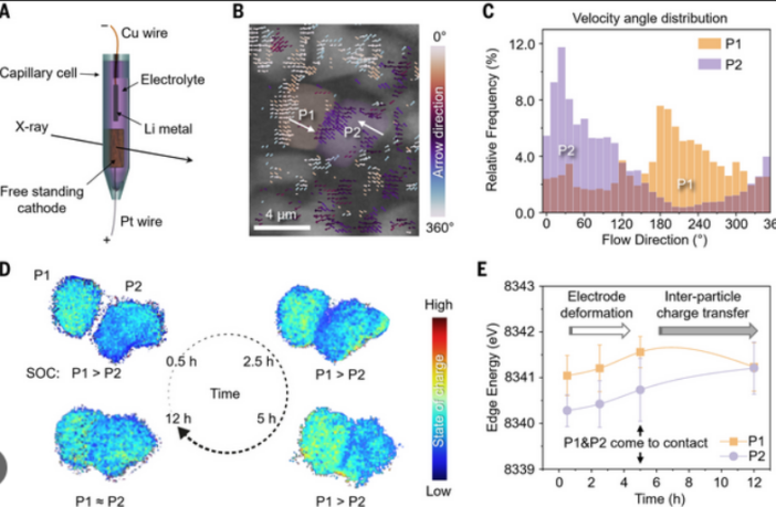 cathode deformation from internal strain