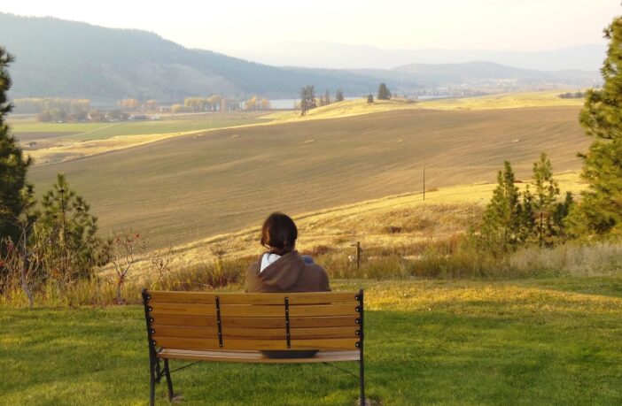 better batteries from british columbia