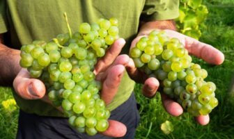 recovering cobalt and nickel selectively