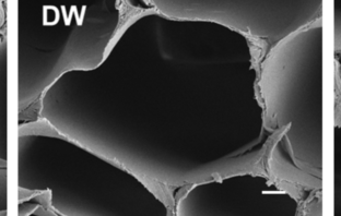 Wood-Based Electrolytes in Batteries