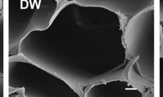 Wood-Based Electrolytes in Batteries