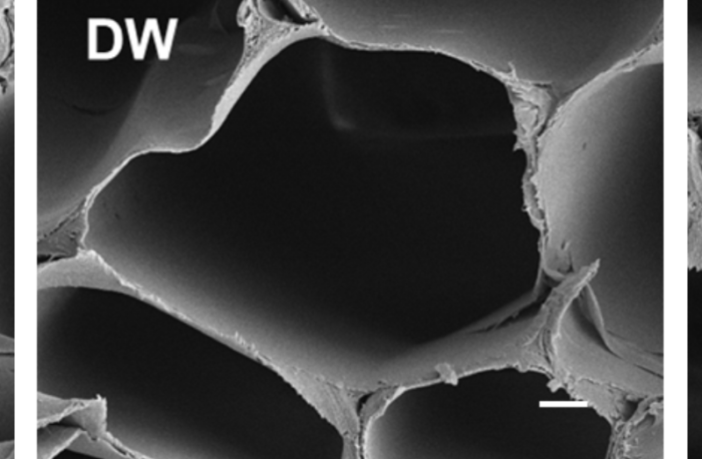 Wood-Based Electrolytes in Batteries