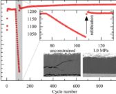 External Pressure on Lithium-Ion Batteries