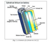 When a Dog Chews a Lithium Battery