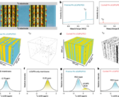 Solid Electrolyte As Fast As Liquid