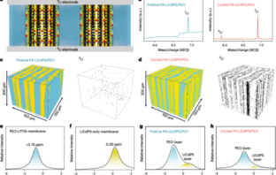 solid electrolyte as fast as liquid