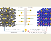 Building Batteries from Sunflower Seeds