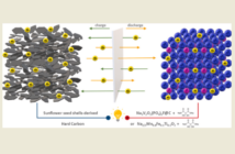 building batteries from sunflower seeds