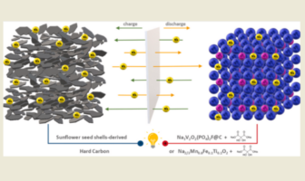 building batteries from sunflower seeds