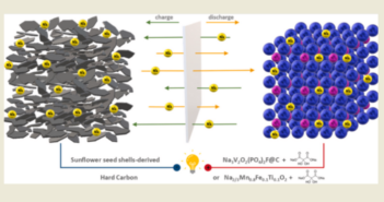 Building Batteries from Sunflower Seeds