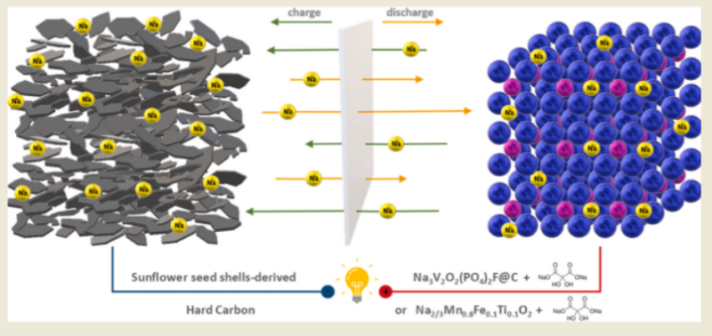 Building Batteries from Sunflower Seeds