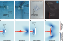 why solid-state batteries short circuit