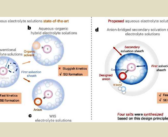Aqueous Water-Based Zinc Batteries Rebound