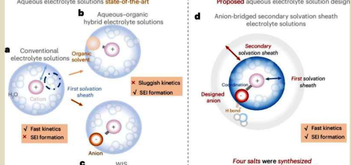 Aqueous Water-Based Zinc Batteries Rebound