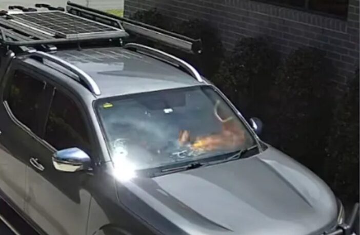 hot cars and hot batteries
