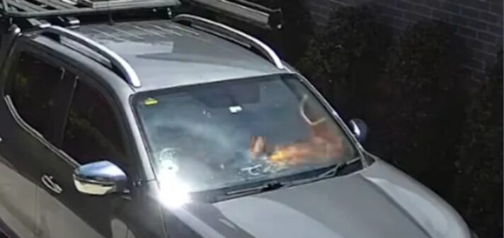 Hot Cars and Hot Batteries Don’t Mix